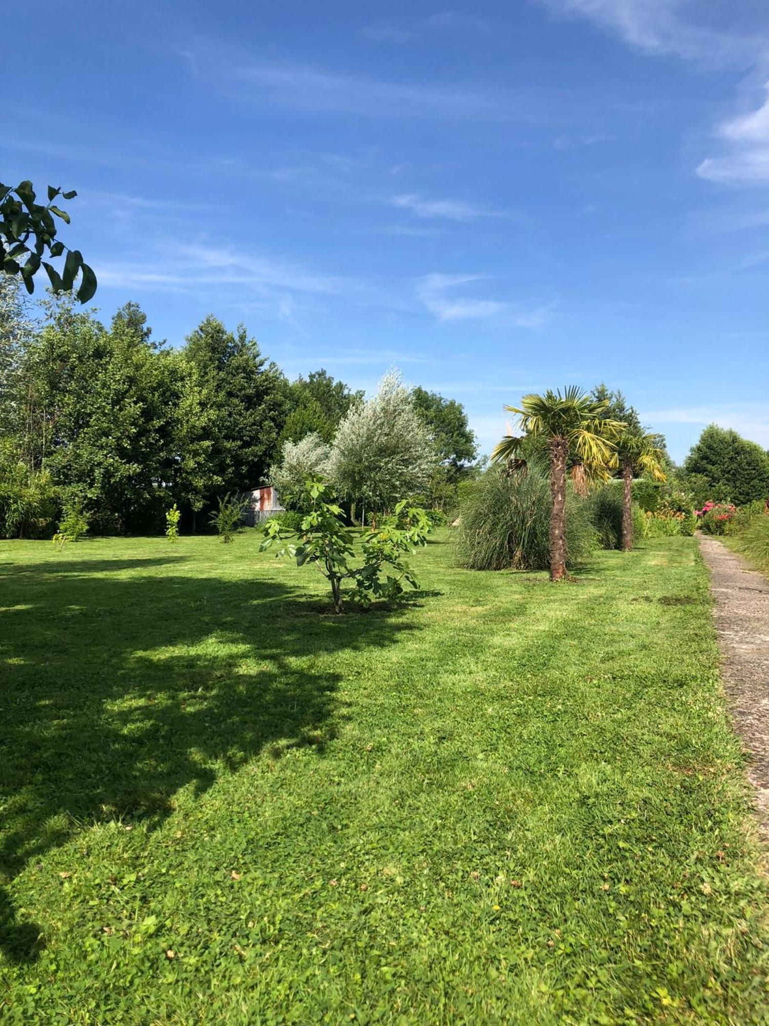 Le Chalet Des Hortillonnages Amiens Exterior foto